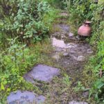 pandi pander uttarakhand